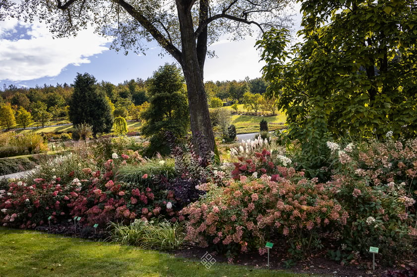 Arboretum Wojsławice jesienią