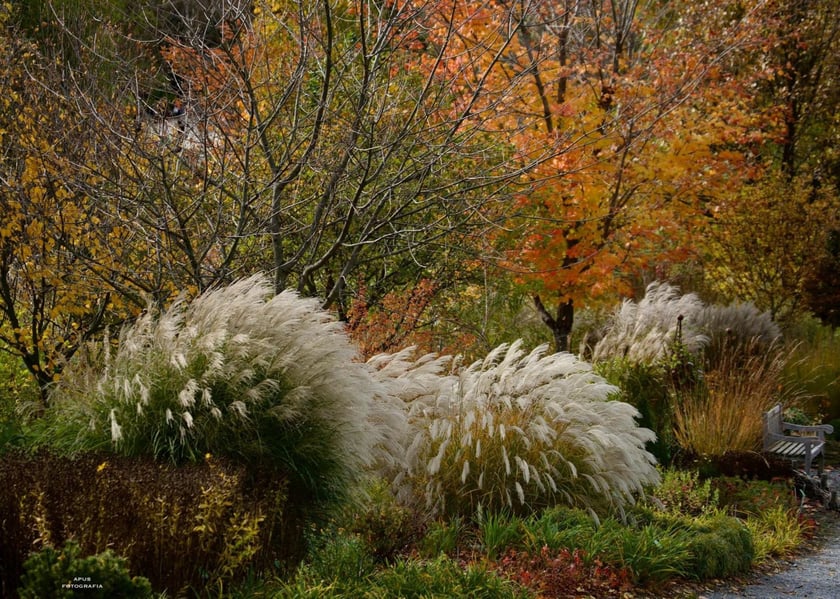 Arboretum Wojsławice jesienią