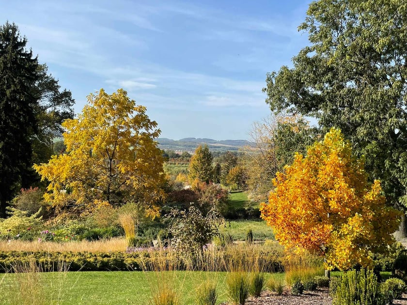 Arboretum Wojsławice jesienią