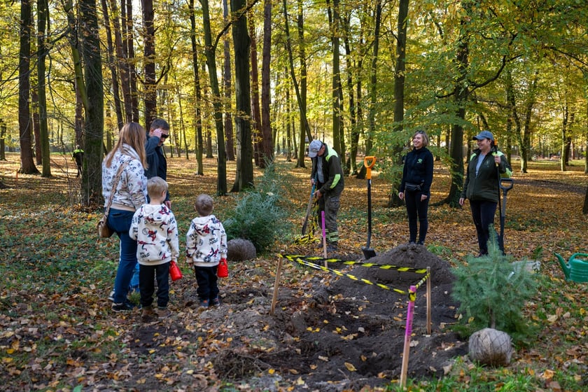 WROśnij we WROcław w parku Leśnym na Praczach 26 października.
