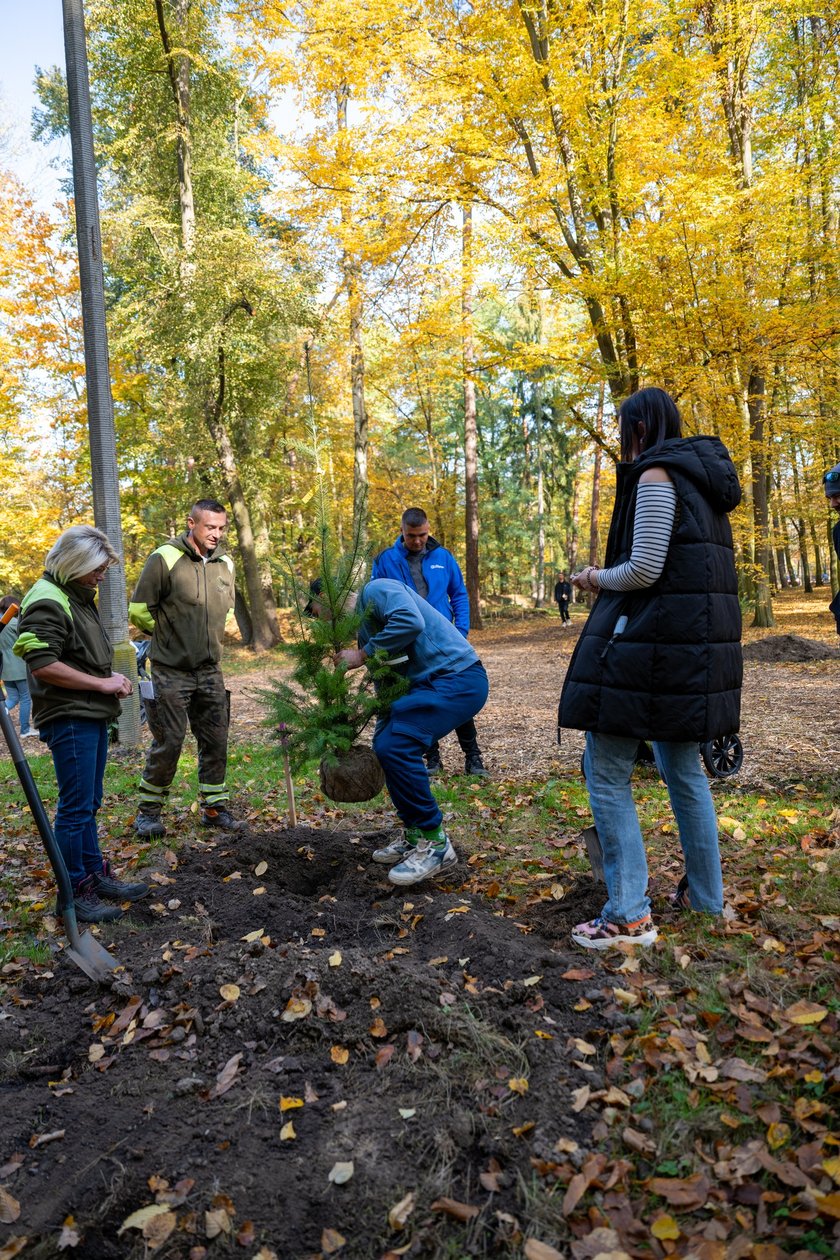 WROśnij we WROcław w parku Leśnym na Praczach 26 października.