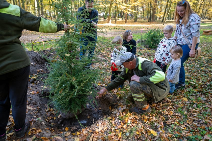 WROśnij we WROcław w parku Leśnym na Praczach 26 października.