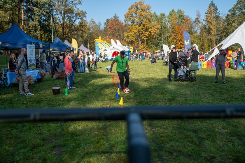 WROśnij we WROcław w parku Leśnym na Praczach 26 października.