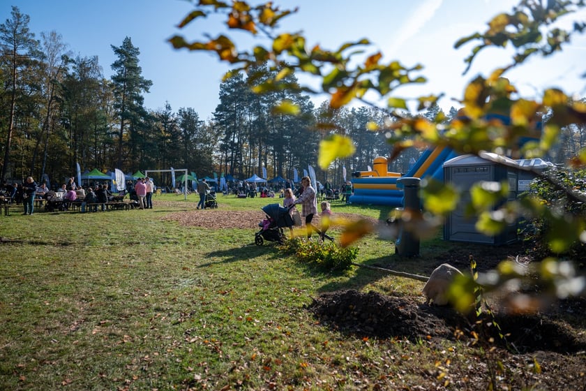 WROśnij we WROcław w parku Leśnym na Praczach 26 października.