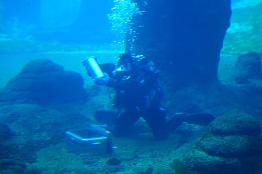 10. urodziny Afrykarium - 26.10.2024