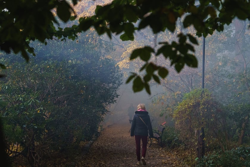 Ogr&oacute;d Botaniczny w kolorach jesieni