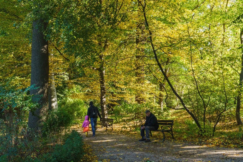 Ogr&oacute;d Botaniczny w kolorach jesieni