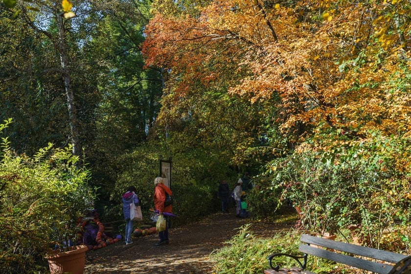 Ogr&oacute;d Botaniczny w kolorach jesieni