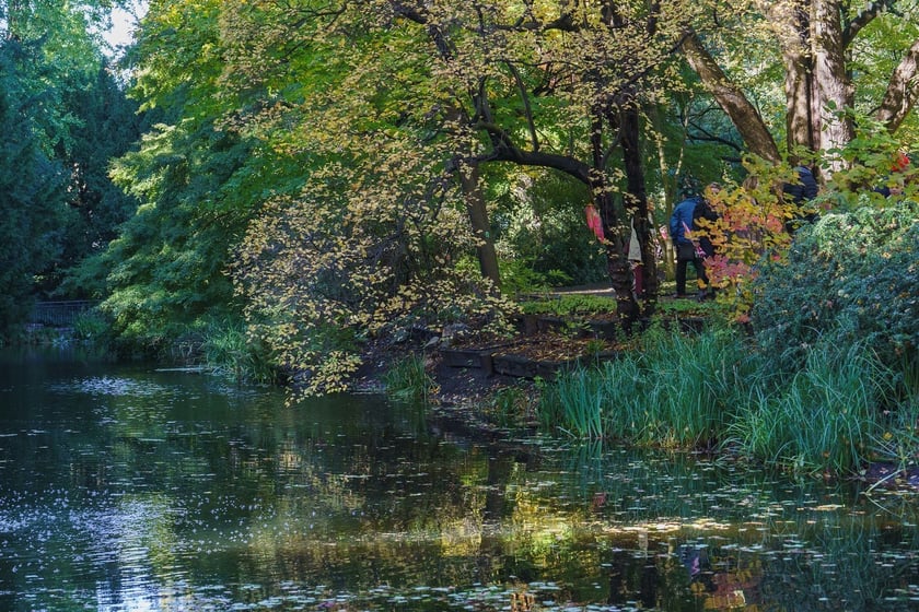 Ogr&oacute;d Botaniczny w kolorach jesieni