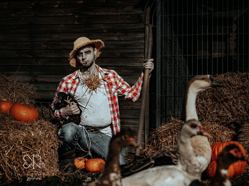 Diabelnie urocze zwierzęta ze schroniska polecają się do adopcji - niezwykła sesja na Halloween