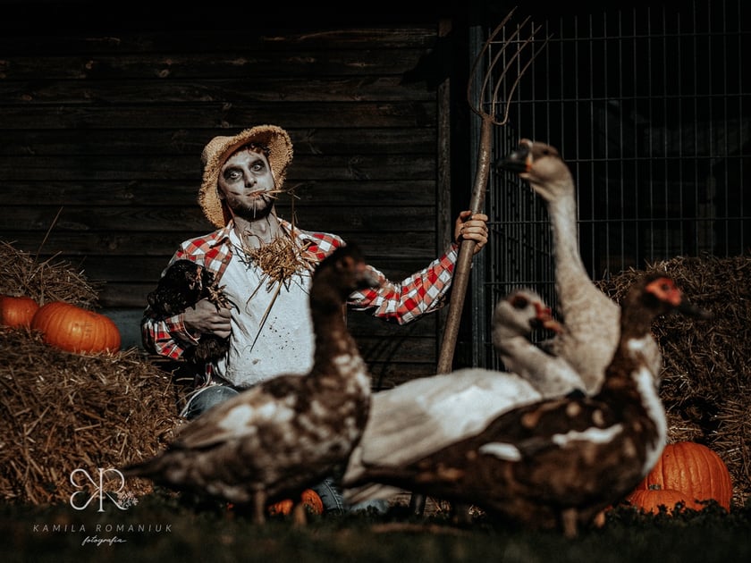 Diabelnie urocze zwierzęta ze schroniska polecają się do adopcji - niezwykła sesja na Halloween