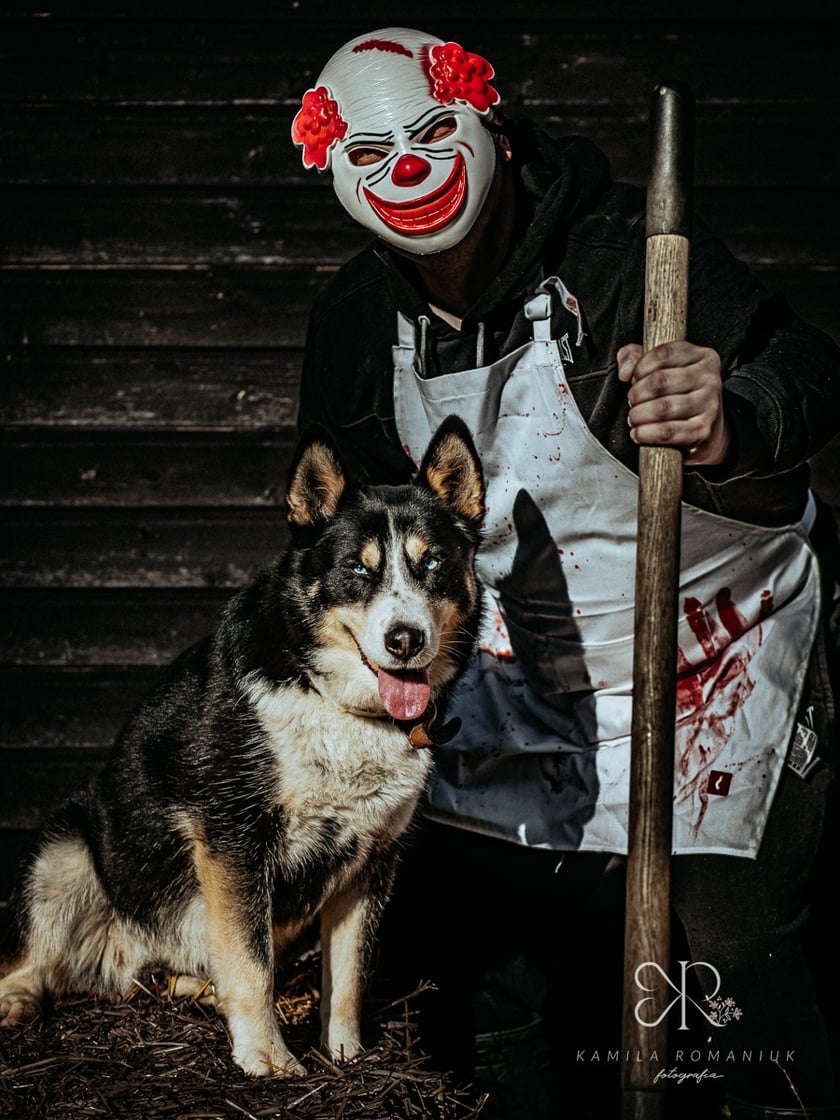 Diabelnie urocze zwierzęta ze schroniska polecają się do adopcji - niezwykła sesja na Halloween