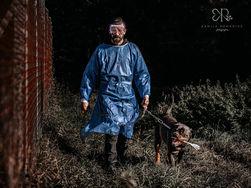 Diabelnie urocze zwierzęta ze schroniska polecają się do adopcji - niezwykła sesja na Halloween