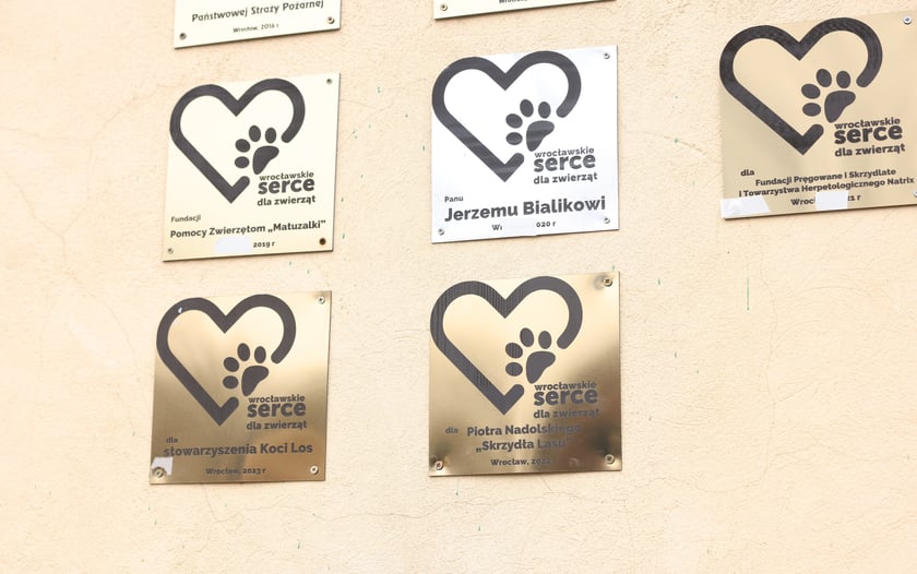 Wrocławskie Serce dla Zwierząt 2024 - uroczystość wręczenia nagród