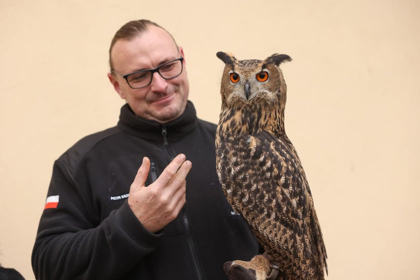 Piotr Nadolski, założyciel i prezes działającej od 6 lat Fundacji Skrzydła Lasu