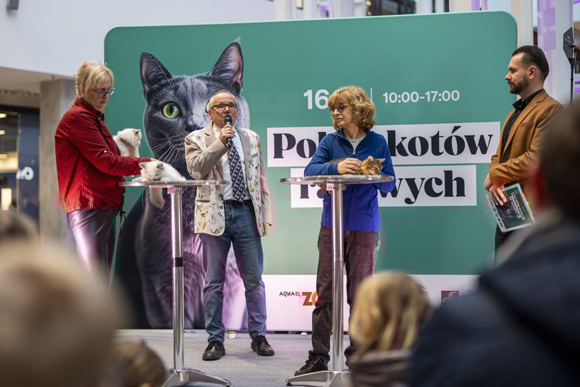 Pokaz Kotów Rasowych w Pasażu Grunwaldzkim we Wrocławiu