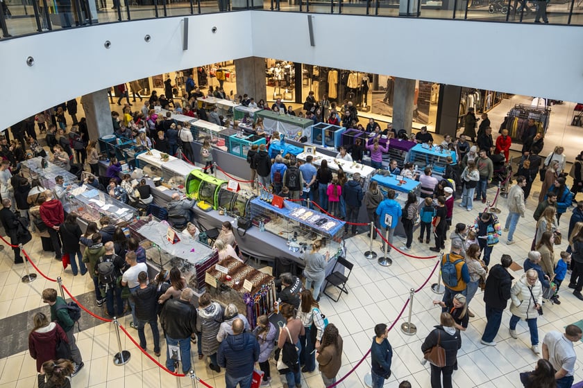 Pokaz Kotów Rasowych w Pasażu Grunwaldzkim we Wrocławiu