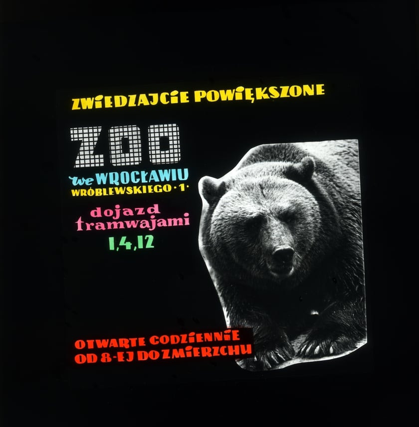 Slajdy reklamowe wrocławskiego zoo, lata 1957-1960