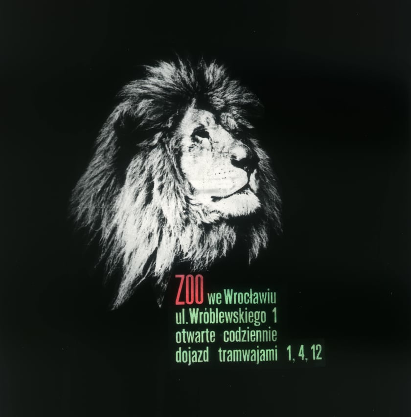 Slajdy reklamowe wrocławskiego zoo, lata 1957-1960