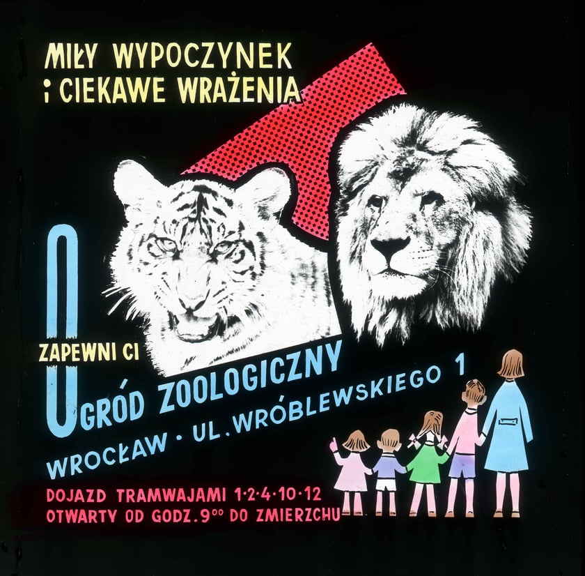 Slajdy reklamowe wrocławskiego zoo, lata 1957-1960