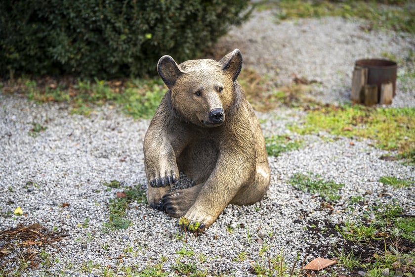 Akcja rozdawania pojemników bio na targowisku przy ul. Niedźwiedziej we Wrocławiu