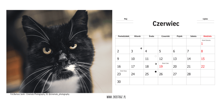 Kalendarze Ekostraży na 2025 rok