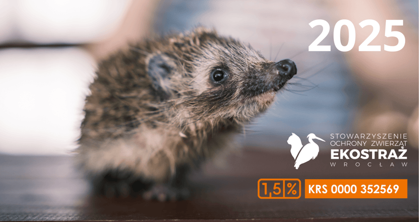 Kalendarze Ekostraży na 2025 rok