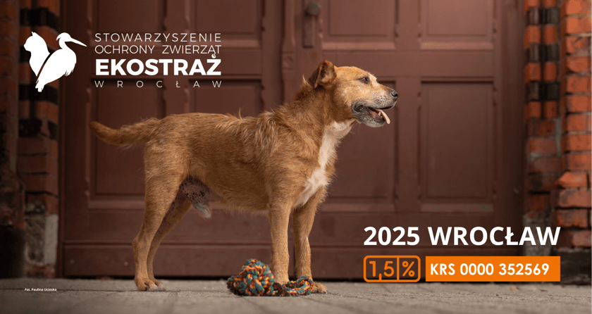 Kalendarze Ekostraży na 2025 rok