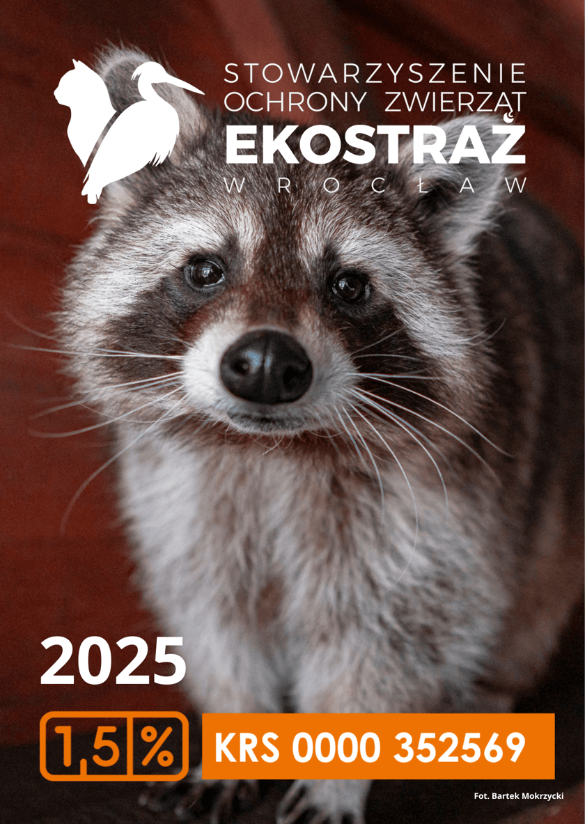 Kalendarze Ekostraży na 2025 rok