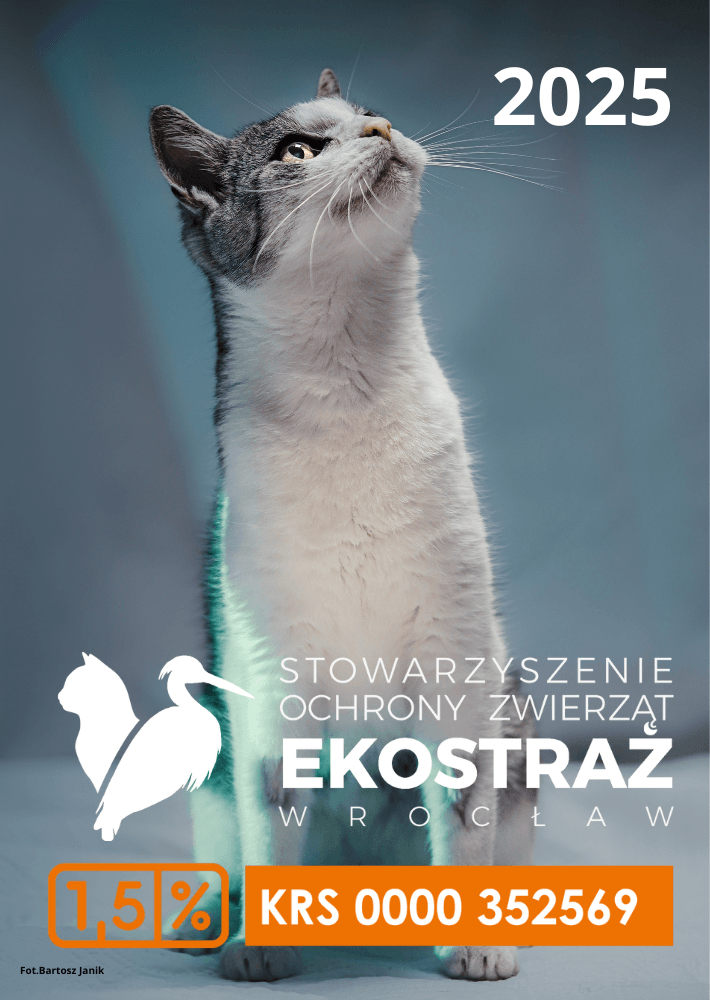 Kalendarze Ekostraży na 2025 rok