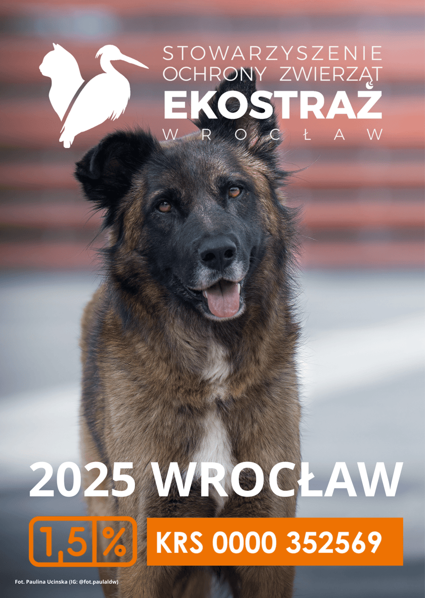 Kalendarze Ekostraży na 2025 rok