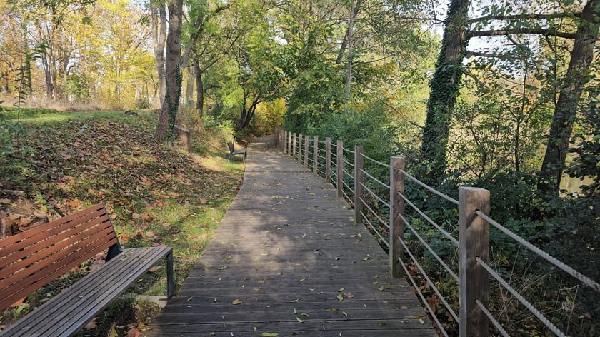 Plaża, drewniane pomosty do odpoczynku. Nowe elementy małej architektury i ostatni nabytek &ndash; samoobsługowa toaleta dodatkowo wyposażona w przebieralnię dla morsujących.
WBO, koszt 1,4 mln zł.