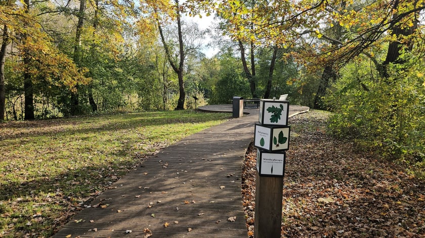 Plaża, drewniane pomosty do odpoczynku. Nowe elementy małej architektury i ostatni nabytek &ndash; samoobsługowa toaleta dodatkowo wyposażona w przebieralnię dla morsujących.
WBO, koszt 1,4 mln zł.