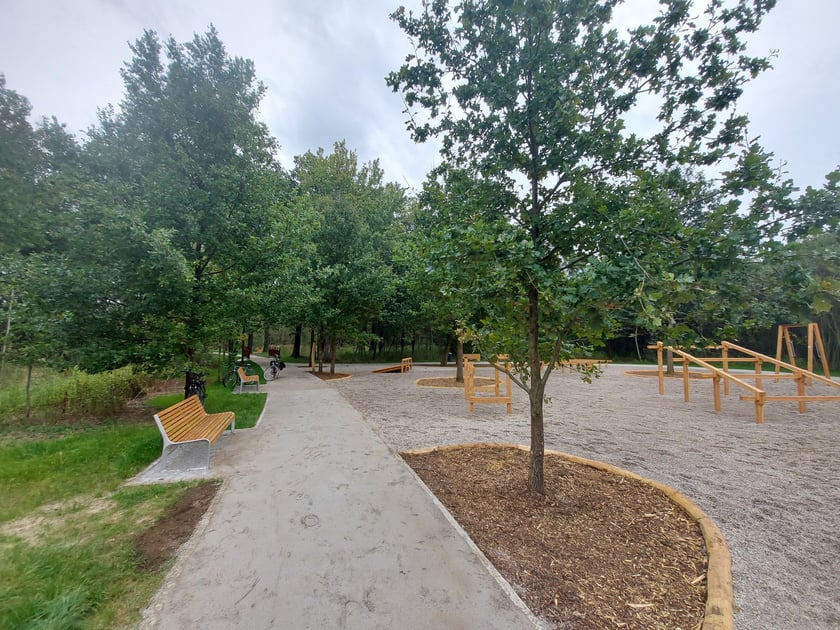 Mamy tu nasypy ziemne ze zjeżdżalniami i pomostami widokowymi, drewnianą siłownię plenerową z torem przeszk&oacute;d i plac zabaw. Naturalistyczny charakter podkreśla związki z przyrodą.
Zadanie na podstawie WBO, koszt 1,4 mln. zł.
&nbsp;