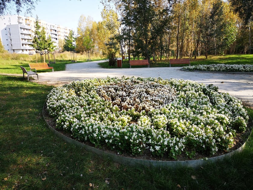 Niewiele wsp&oacute;łcześnie zakładanych teren&oacute;w zieleni jest tak oryginalnych, jak park Leonarda da Vinci na Gądowie Małym. Park zlokalizowany jest na zielonym klinie wijącym się pomiędzy zabudowaniami, nawiązuje tematyką do lotniczej przeszłości osiedla, wykorzystując awiacyjne wynalazki patrona parku. Pomiędzy topolami, jaworami i dębami kryją się rzeźby i urządzenia nawiązujące do r&oacute;żnych wynalazk&oacute;w wielkiego myśliciela. Eliptyczne pergole i placyki-ronda są połączone licznymi ścieżkami i gęsto ustawionymi ławkami oraz leżakami.
Koszt: 1,9 mln zł, projekt WBO
&nbsp;