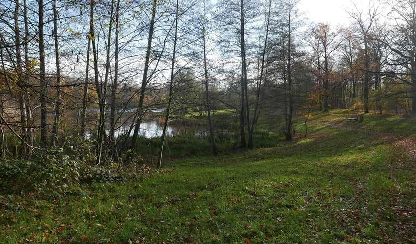 Park Średzki we Wrocławiu