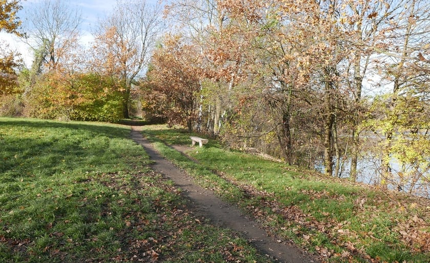 Park Średzki we Wrocławiu