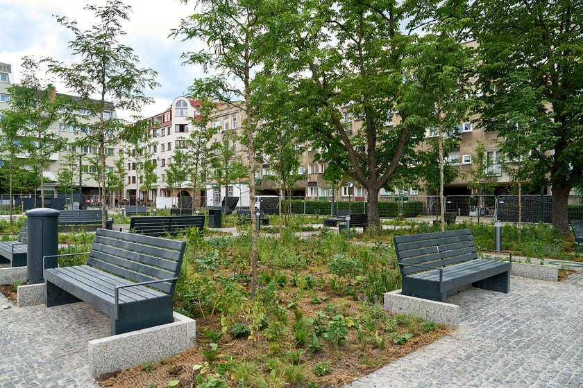Plac Nowy Targ we Wrocławiu