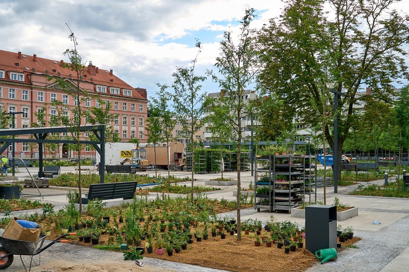 Plac Nowy Targ we Wrocławiu
