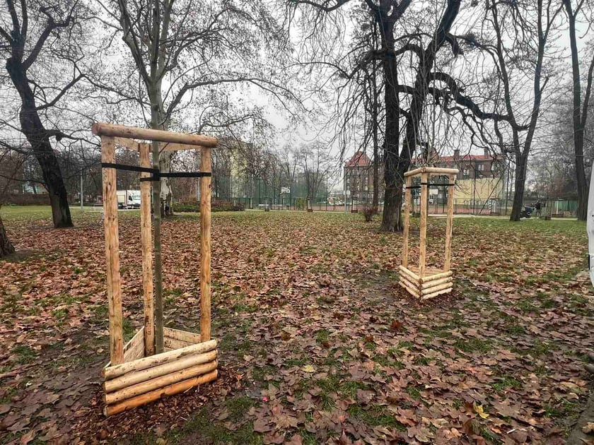 Park Węgrzynowskiego przy ul. Kolejowej
Posadzone zostały tu dwa jesiony wyniosłe, trzy platany klonolistne oraz trzy robinie. A&nbsp;na ul. Legnickiej przybyły: klon polny elsrijk, brzoza papierowa i lipa srebrzysta.