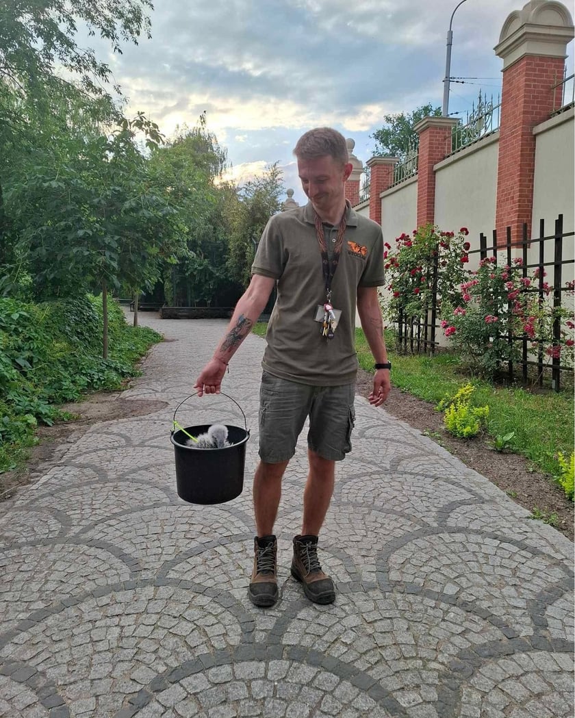 Opieka nad ptakami to niełatwe, ale bardzo satysfakcjonujące zajecie
