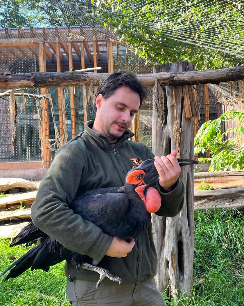 Opieka nad ptakami to niełatwe, ale bardzo satysfakcjonujące zajecie
