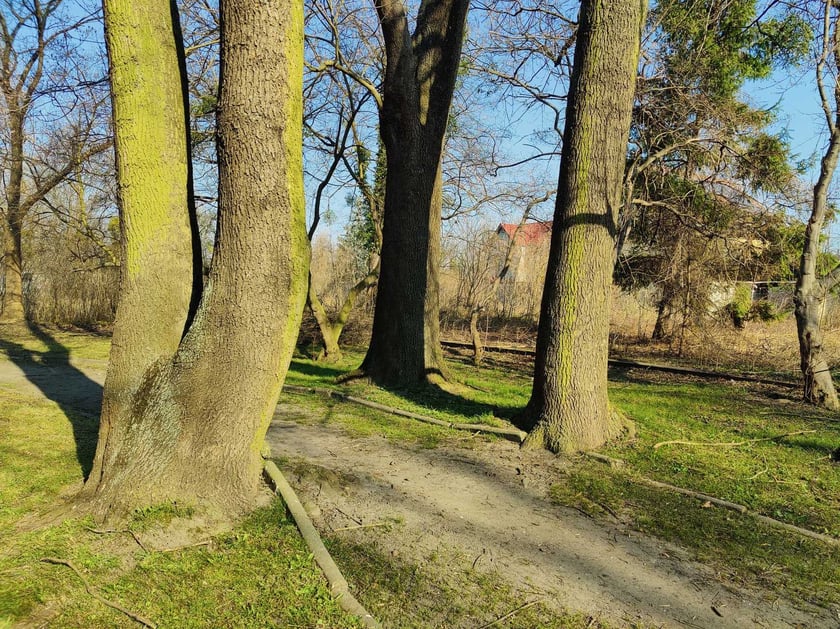 Skwer przy skrzyżowaniu ul. Centralnej i Węgierskiej na osiedlu Broch&oacute;w - widok przed zmianami