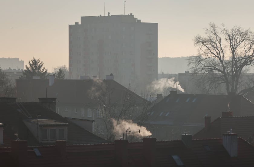 Fotoreporter wroclaw.pl kontrolował piece razem ze strażnikami miejskimi