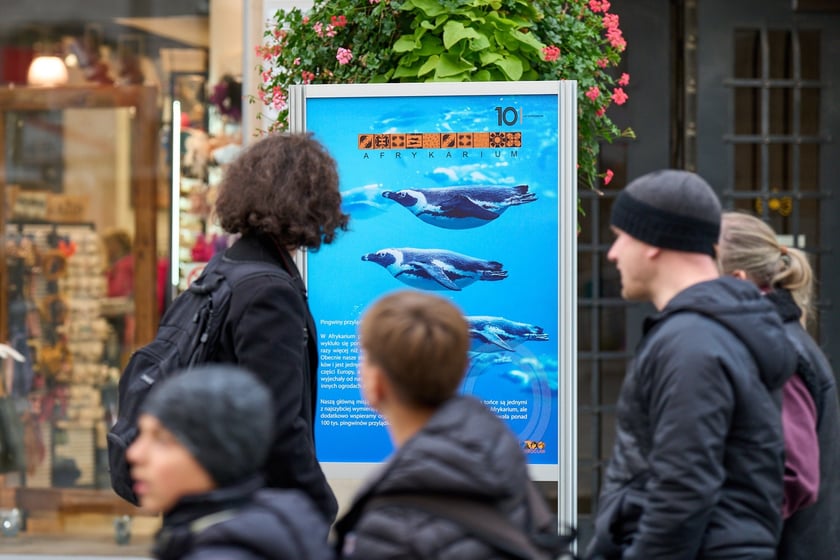 Wystawa planszowa w Afrykarium