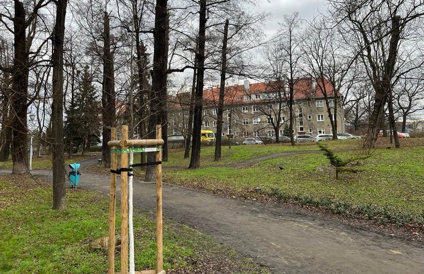 Tak obecnie wygląda skwer przy ul. Długosza we Wrocławiu