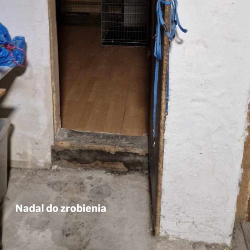Azyl Ekostraży przy ul. Miłoszyckiej 67 we Wrocławiu
