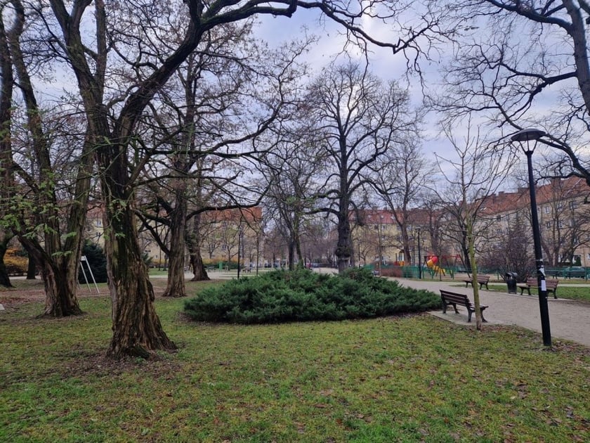 Projekt Urbio Bauhaus we Wrocławiu.