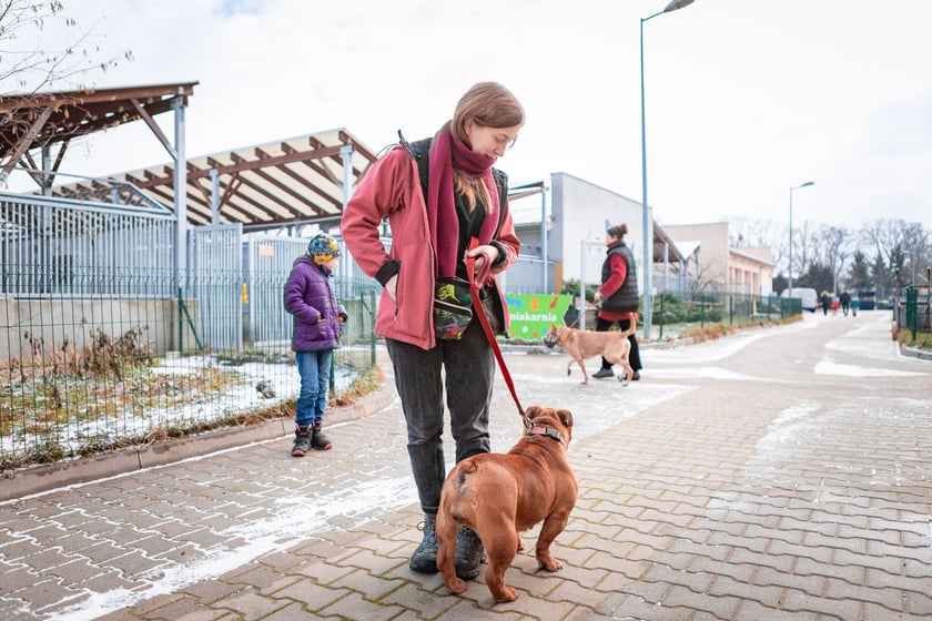 Walentynki dla zwierząt w  Schronisku dla Bezdomnych Zwierząt we Wrocławiu