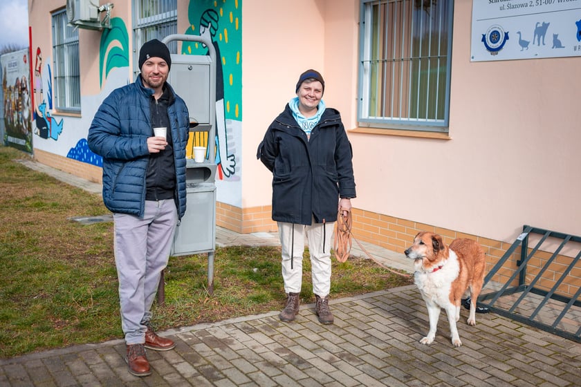 Walentynki dla zwierząt w  Schronisku dla Bezdomnych Zwierząt we Wrocławiu